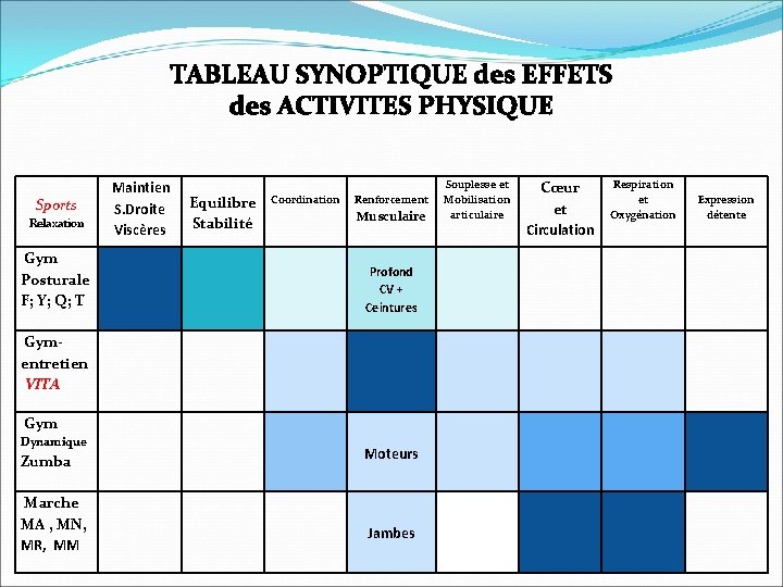 TABLEAU SYNOPTIQUE des EFFETS des ACTIVITES PHYSIQUE Maintien Sports S. Droite Viscères Relaxation Equilibre TABLEAU SYNOPTIQUE des EFFETS des ACTIVITES PHYSIQUE Maintien Sports S. Droite Viscères Relaxation Equilibre