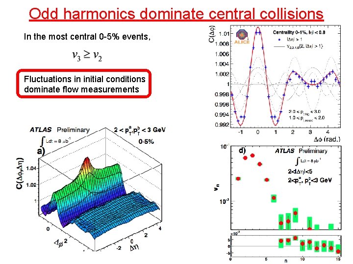 Odd harmonics dominate central collisions In the most central 0 -5% events, Fluctuations in