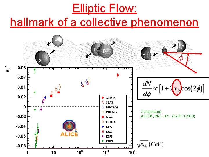 Elliptic Flow: hallmark of a collective phenomenon Compilation ALICE, PRL 105, 252302 (2010) 