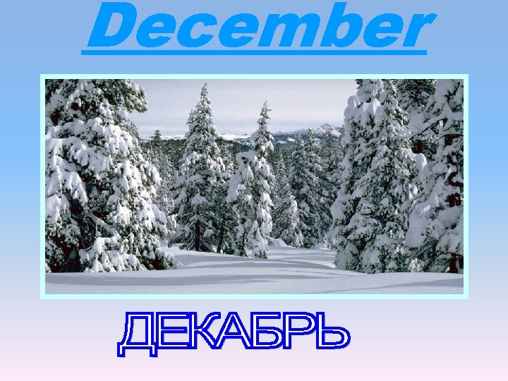 December 