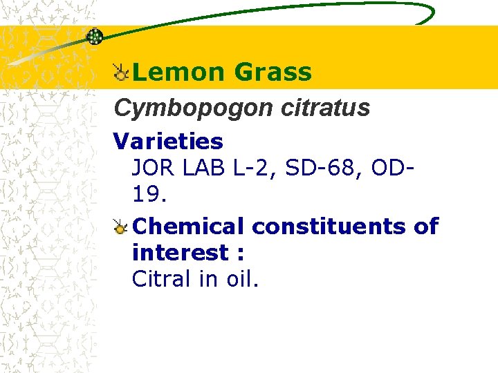 Lemon Grass Cymbopogon citratus Varieties JOR LAB L-2, SD-68, OD 19. Chemical constituents of