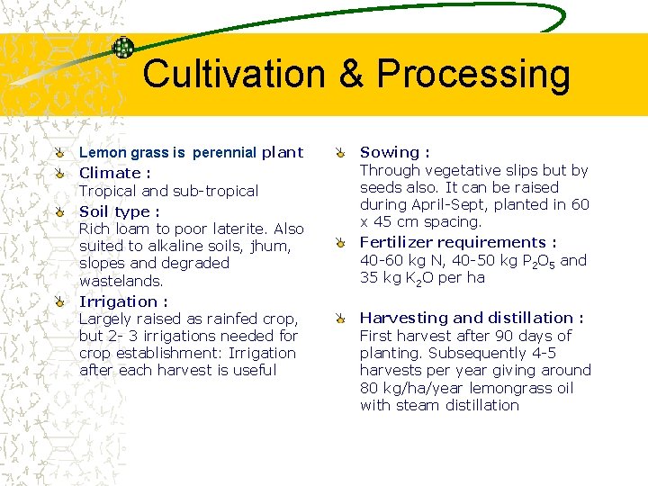 Cultivation & Processing Lemon grass is perennial plant Climate : Tropical and sub-tropical Soil