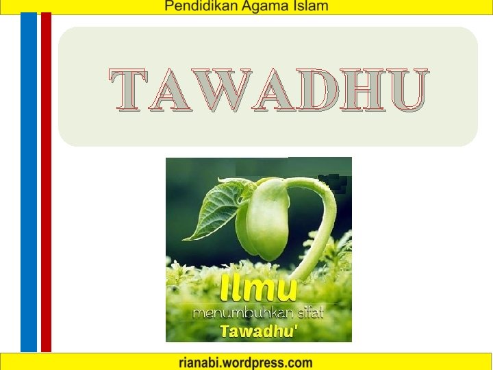 TAWADHU 