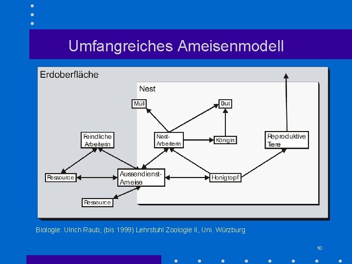 Simulation Sozialer Insekten Mit Artificial Life Modellen Franziska