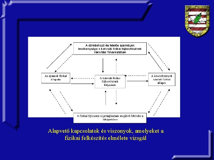 Alapvető kapcsolatok és viszonyok, amelyeket a fizikai felkészítés elmélete vizsgál 