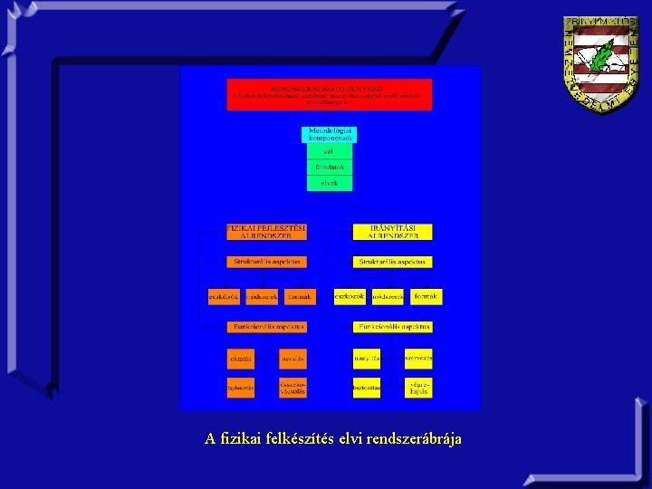 A fizikai felkészítés elvi rendszerábrája 