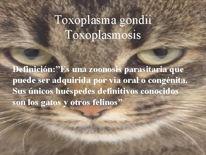 Toxoplasma gondii Toxoplasmosis Definición: ”Es una zoonosis parasitaria que puede ser adquirida por vía