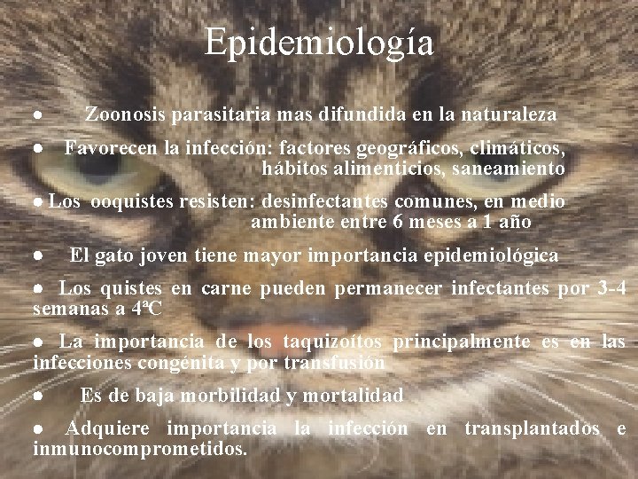 Epidemiología · Zoonosis parasitaria mas difundida en la naturaleza · Favorecen la infección: factores Epidemiología · Zoonosis parasitaria mas difundida en la naturaleza · Favorecen la infección: factores