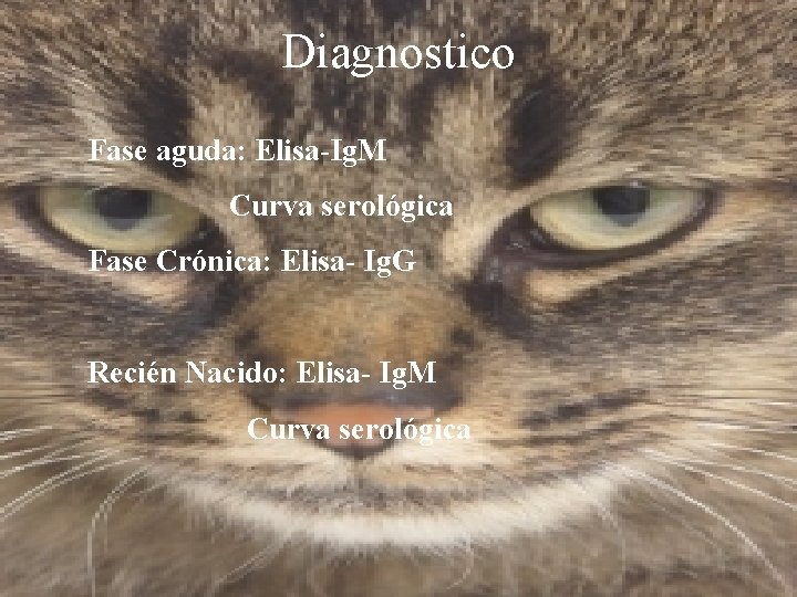 Diagnostico Fase aguda: Elisa-Ig. M Curva serológica Fase Crónica: Elisa- Ig. G Recién Nacido: Diagnostico Fase aguda: Elisa-Ig. M Curva serológica Fase Crónica: Elisa- Ig. G Recién Nacido: