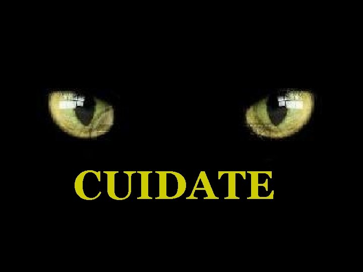 CUIDATE CUIDATE
