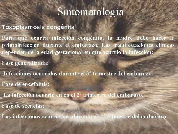 Sintomatología Toxoplasmosis congénita Para que ocurra infección congénita, la madre debe hacer la primoinfección