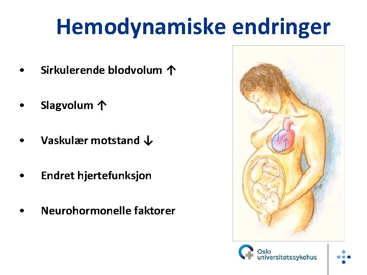 Hemodynamiske endringer • Sirkulerende blodvolum ↑ • Slagvolum ↑ • Vaskulær motstand ↓ •