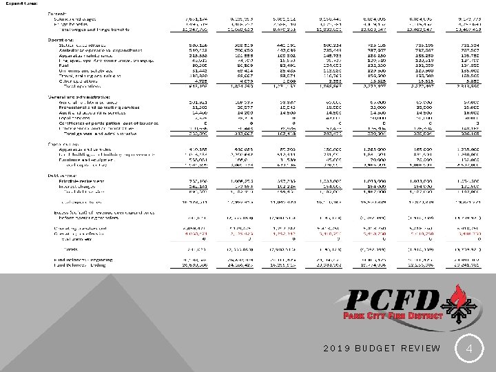 2019 BUDGET REVIEW 4 