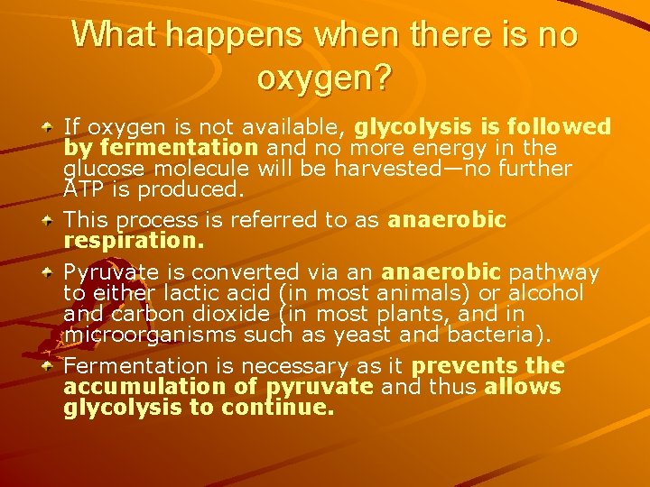 What happens when there is no oxygen? If oxygen is not available, glycolysis is