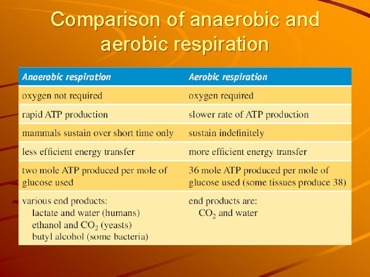 Comparison of anaerobic and aerobic respiration 