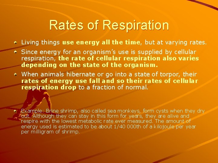 Rates of Respiration Living things use energy all the time, but at varying rates.