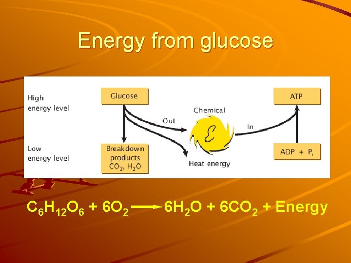 Energy from glucose C 6 H 12 O 6 + 6 O 2 6