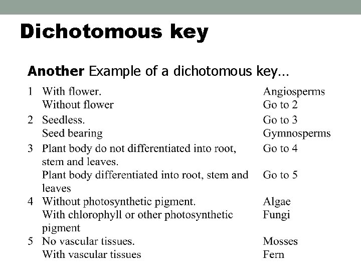 Dichotomous key Another Example of a dichotomous key… 