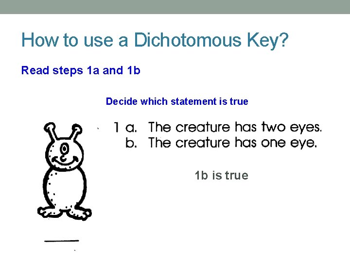 How to use a Dichotomous Key? Read steps 1 a and 1 b Decide