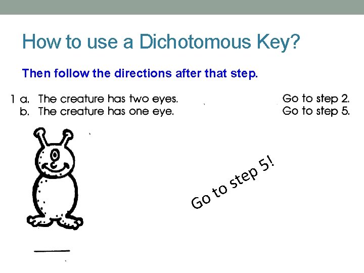 How to use a Dichotomous Key? Then follow the directions after that step. t