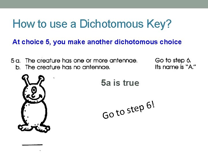 How to use a Dichotomous Key? At choice 5, you make another dichotomous choice