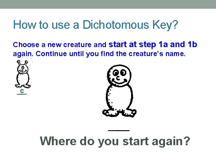 How to use a Dichotomous Key? Choose a new creature and start at step