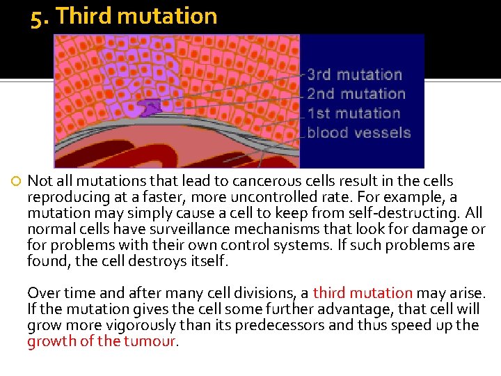 5. Third mutation Not all mutations that lead to cancerous cells result in the