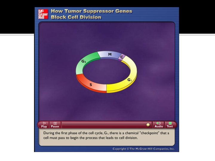 Please note that due to differing operating systems, some animations will not appear until