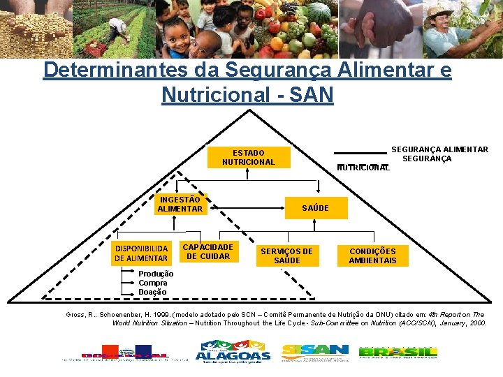 Determinantes da Segurança Alimentar e Nutricional - SAN SEGURANÇA ALIMENTAR SEGURANÇA ESTADO NUTRICIONAL INGESTÃO