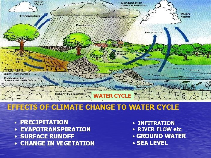 WATER CYCLE EFFECTS OF CLIMATE CHANGE TO WATER CYCLE • PRECIPITATION • EVAPOTRANSPIRATION •