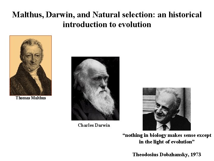 Malthus, Darwin, and Natural selection: an historical introduction to evolution Thomas Malthus Charles Darwin Malthus, Darwin, and Natural selection: an historical introduction to evolution Thomas Malthus Charles Darwin