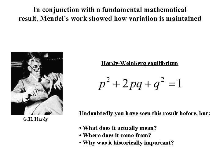 In conjunction with a fundamental mathematical result, Mendel’s work showed how variation is maintained In conjunction with a fundamental mathematical result, Mendel’s work showed how variation is maintained