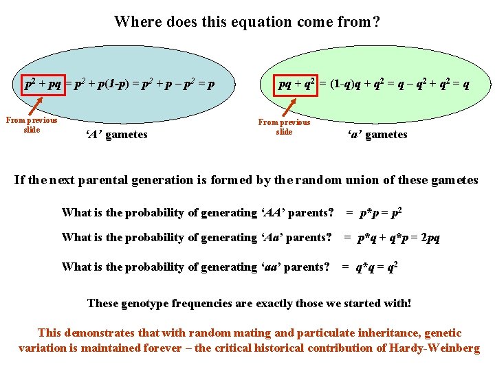 Where does this equation come from? p 2 + pq = p 2 + Where does this equation come from? p 2 + pq = p 2 +