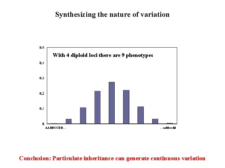 Synthesizing the nature of variation With 4 diploid loci there are 9 phenotypes AABBCCDD… Synthesizing the nature of variation With 4 diploid loci there are 9 phenotypes AABBCCDD…