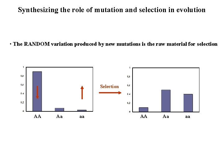 Synthesizing the role of mutation and selection in evolution • The RANDOM variation produced Synthesizing the role of mutation and selection in evolution • The RANDOM variation produced