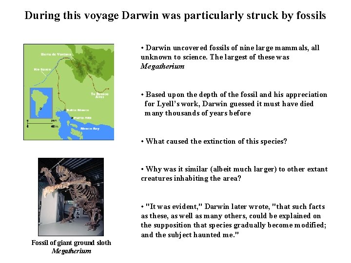 During this voyage Darwin was particularly struck by fossils • Darwin uncovered fossils of During this voyage Darwin was particularly struck by fossils • Darwin uncovered fossils of