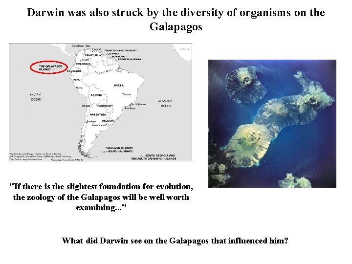 Darwin was also struck by the diversity of organisms on the Galapagos "If there Darwin was also struck by the diversity of organisms on the Galapagos "If there