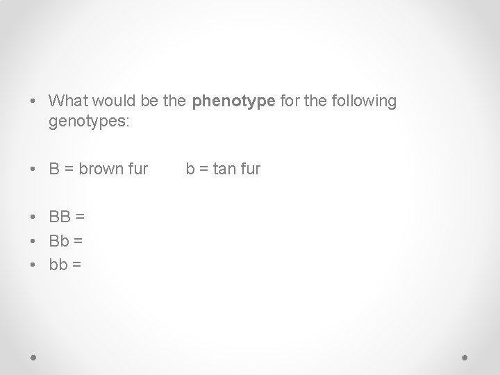  • What would be the phenotype for the following genotypes: • B =