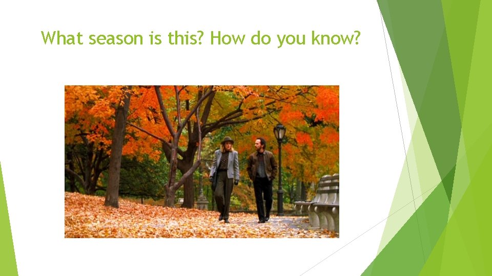 What season is this? How do you know? 