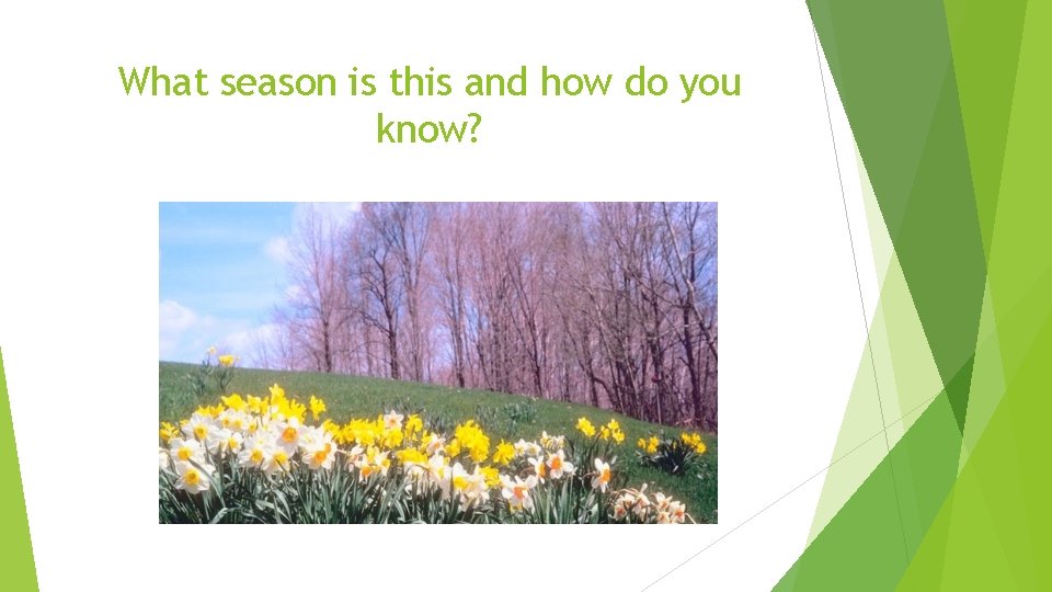 What season is this and how do you know? 