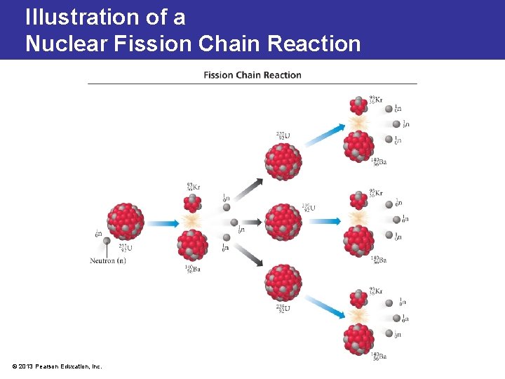 Illustration of a Nuclear Fission Chain Reaction © 2013 Pearson Education, Inc. 