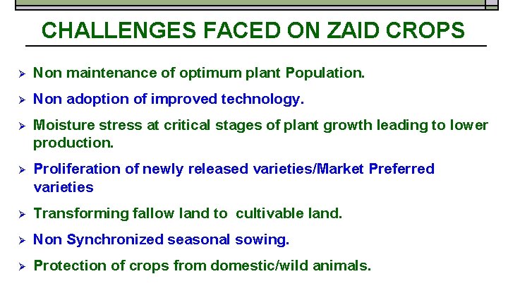 CHALLENGES FACED ON ZAID CROPS Non maintenance of optimum plant Population. Non adoption of