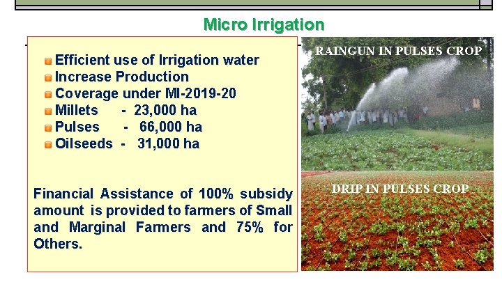 Micro Irrigation Efficient use of Irrigation water Increase Production Coverage under MI-2019 -20 Millets
