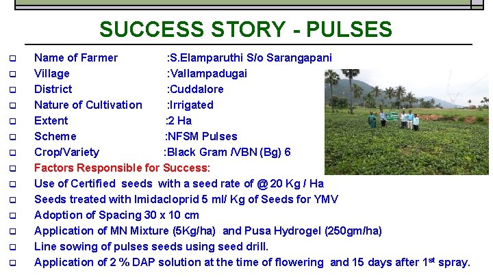SUCCESS STORY - PULSES q q q q Name of Farmer : S. Elamparuthi