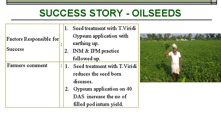 SUCCESS STORY - OILSEEDS 1. Seed treatment with T. Viridi Gypsum application with Factors