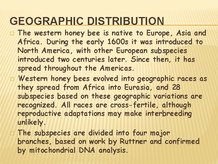 GEOGRAPHIC DISTRIBUTION � � � The western honey bee is native to Europe, Asia