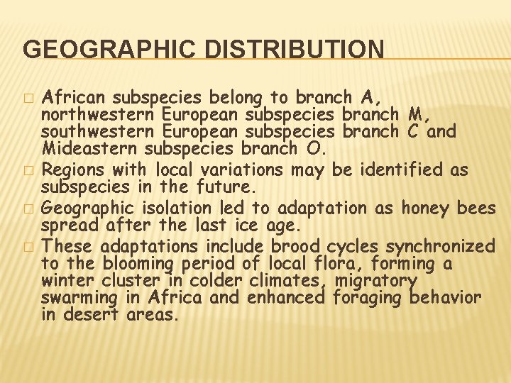 GEOGRAPHIC DISTRIBUTION � � African subspecies belong to branch A, northwestern European subspecies branch