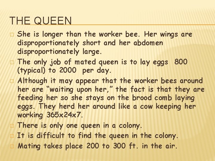 THE QUEEN � � � She is longer than the worker bee. Her wings