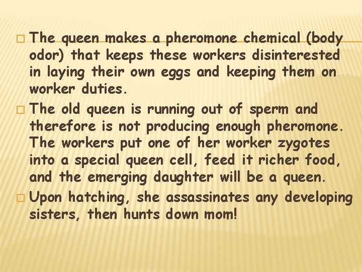 The queen makes a pheromone chemical (body odor) that keeps these workers disinterested in