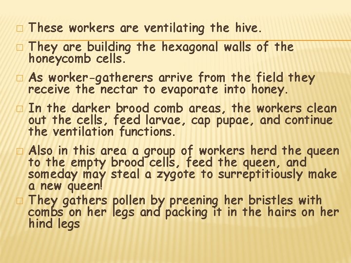 � These workers are ventilating the hive. � They are building the hexagonal walls